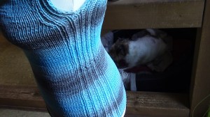 Wasserfallshirt1 (1)